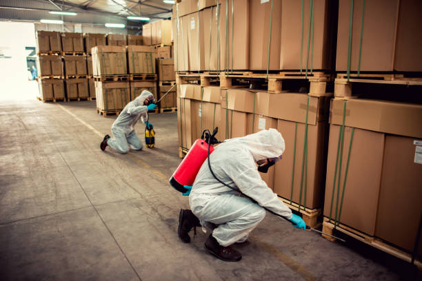 Best Affordable Pest Control Services  in Westvale, NY