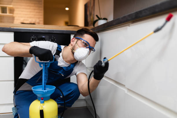 Best Pest Prevention Services  in Westvale, NY