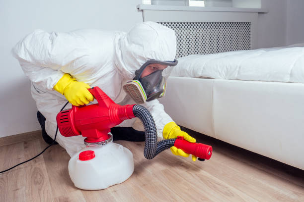 Best Flea Control Services  in Westvale, NY