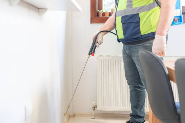 Best Rat Extermination Near Me  in Westvale, NY
