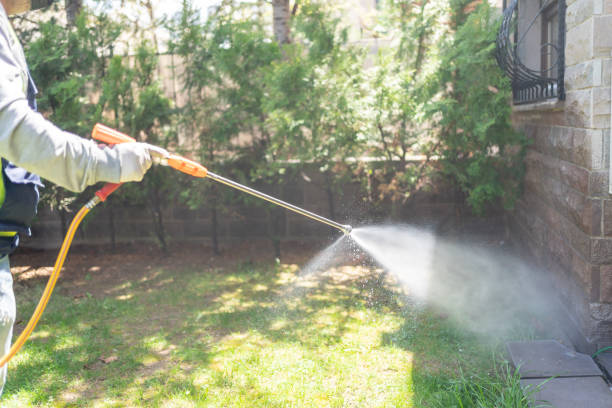 Wildlife Control Services in Westvale, NY
