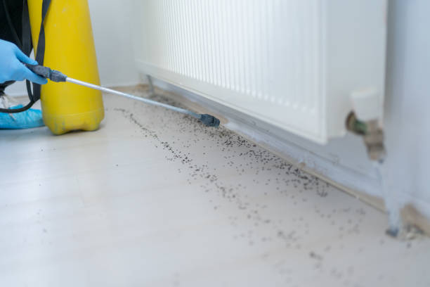 Best Pest Control for Restaurants  in Westvale, NY