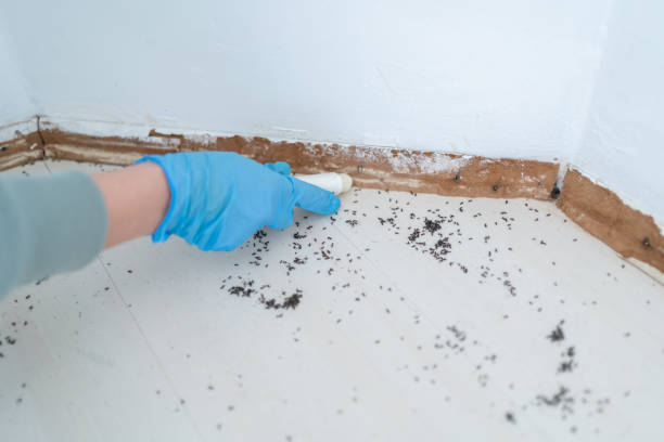 Best Residential Pest Control  in Westvale, NY