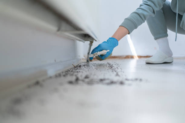 Best Best Pest Control Companies  in Westvale, NY
